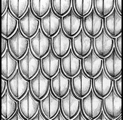 Dragonscale 002