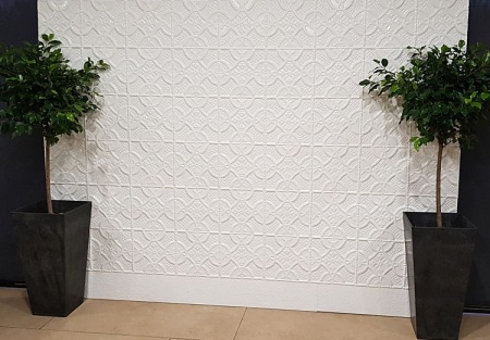 apm_stepney_photo_wall_opt