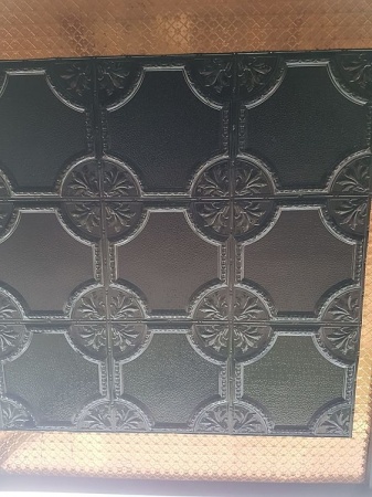 apm_temora_black_opt